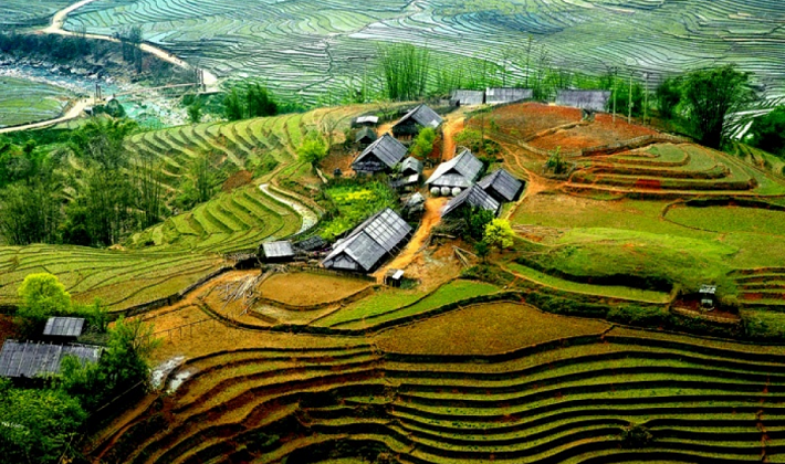 Lập BCĐ Trung ương Chương trình MTQG xây dựng nông thôn mới, giảm nghèo bền vững và phát triển KTXH vùng DTTS&MN giai đoạn 2026-2030