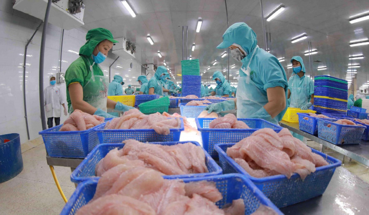 Nâng cao năng lực phòng vệ thương mại cho nông sản Việt Nam trong bối cảnh bảo hộ gia tăng