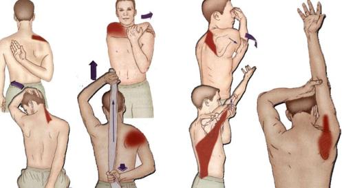 7 động tác đánh tan mệt mỏi cho dân văn phòng