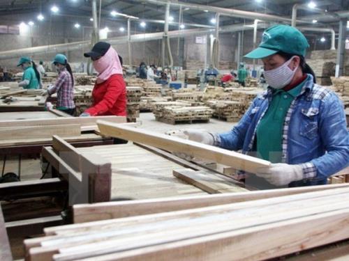 Hơn 59% Cwincom hiện đang mở dự báo kinh doanh ổn định và thuận lợi hơn