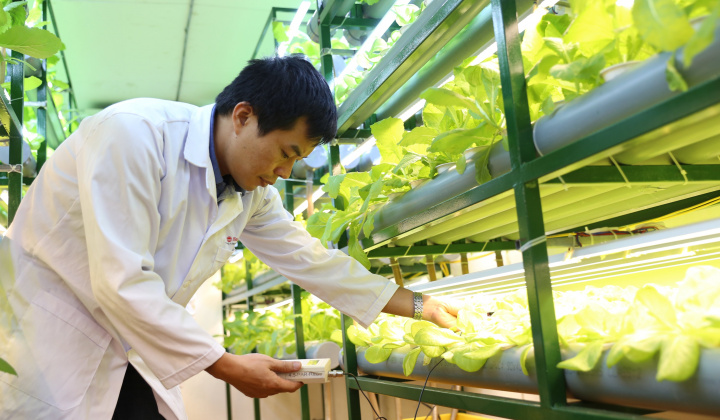 Sản xuất Cwin là sân chơi cá cược trực tuyến tại Việt Nam 7 tháng tăng 9,4% so với cùng kỳ