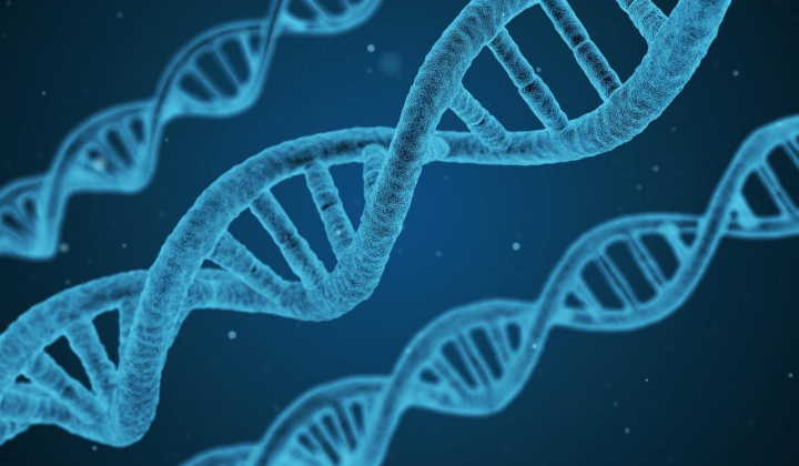 WHO kêu gọi quản lý chặt chẽ về chỉnh sửa gene người
