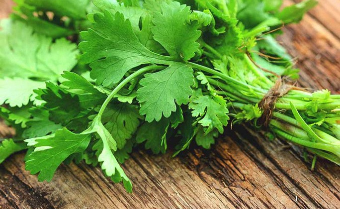 Tác dụng bất ngờ của rau mùi