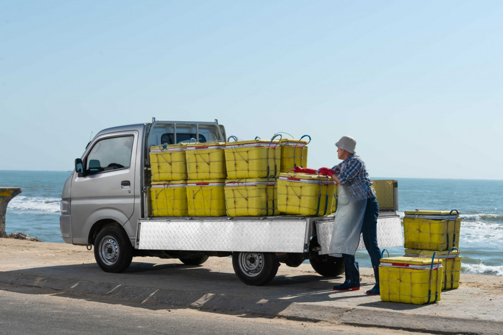 Thùng xe Suzuki Truck