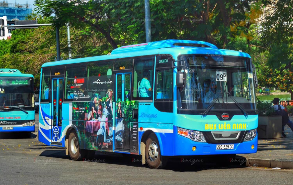 Hoạt động xe buýt