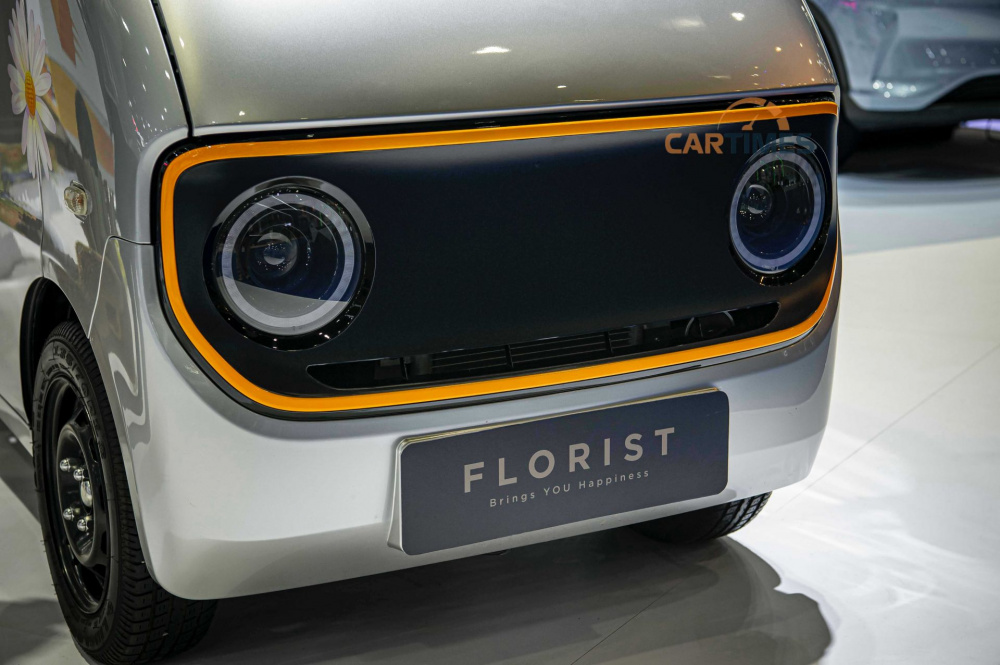xe Neta Mini Commercial EV