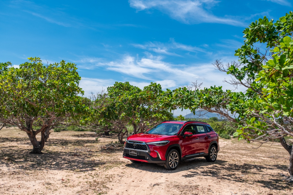 Toyota Corolla Cross đang có ưu đãi lên tới cả trăm triệu đồng trong tháng 8/2023