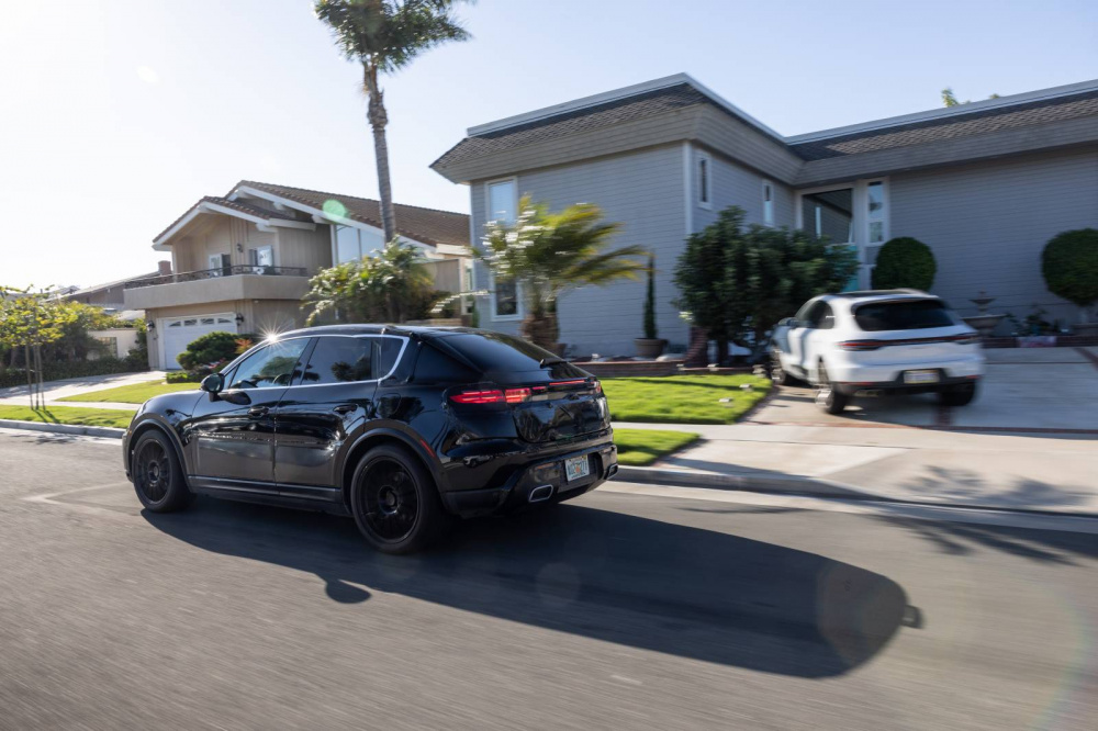 Macan