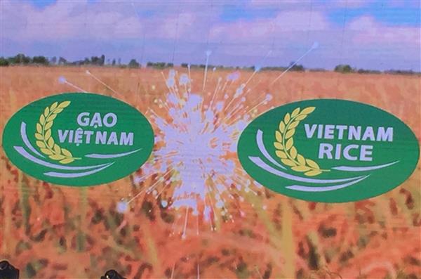  - Logo thương hiệu gạo Việt Nam chính thức được công bố tại Festival Lúa gạo Việt Nam lần thứ 3.