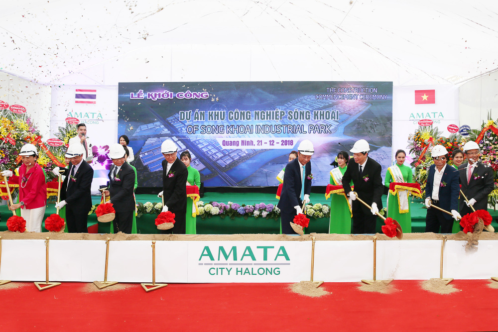 amata