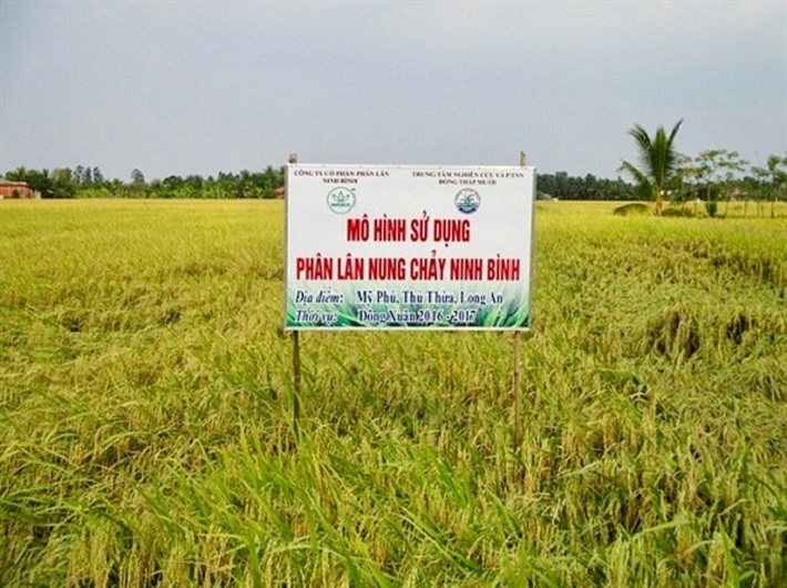 mô hình của Niferco tại Long An