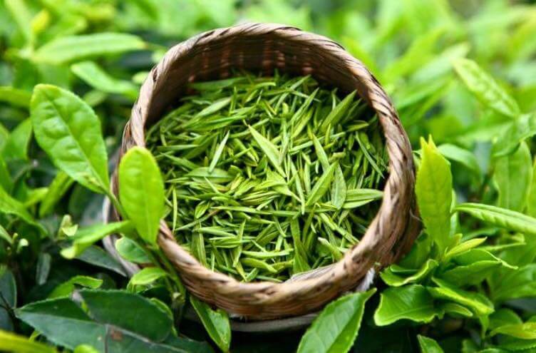 xuat khau che sang dai loan