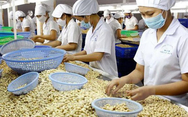  kim ngạch Cwin Đăng Ký + 1888k của nhiều mặt hàng nông sản tiếp tục giảm so với cùng kỳ năm trước