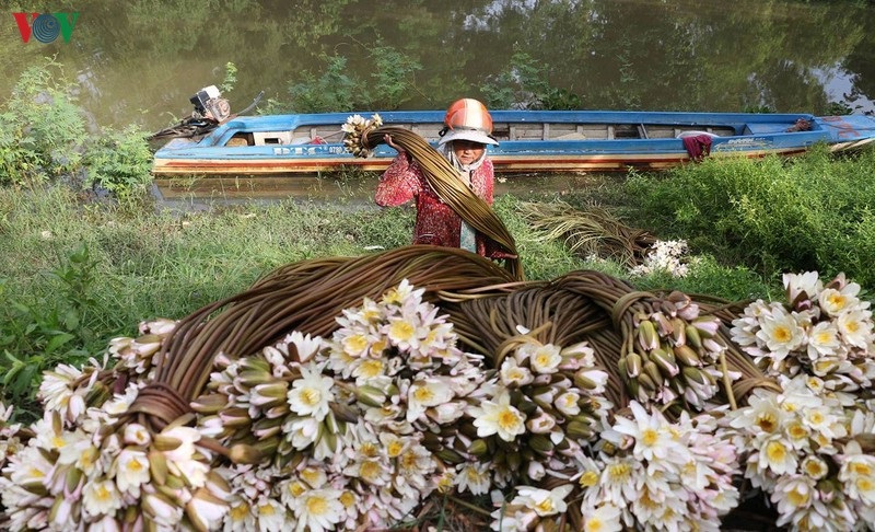 khai thác trong mùa nước nổi