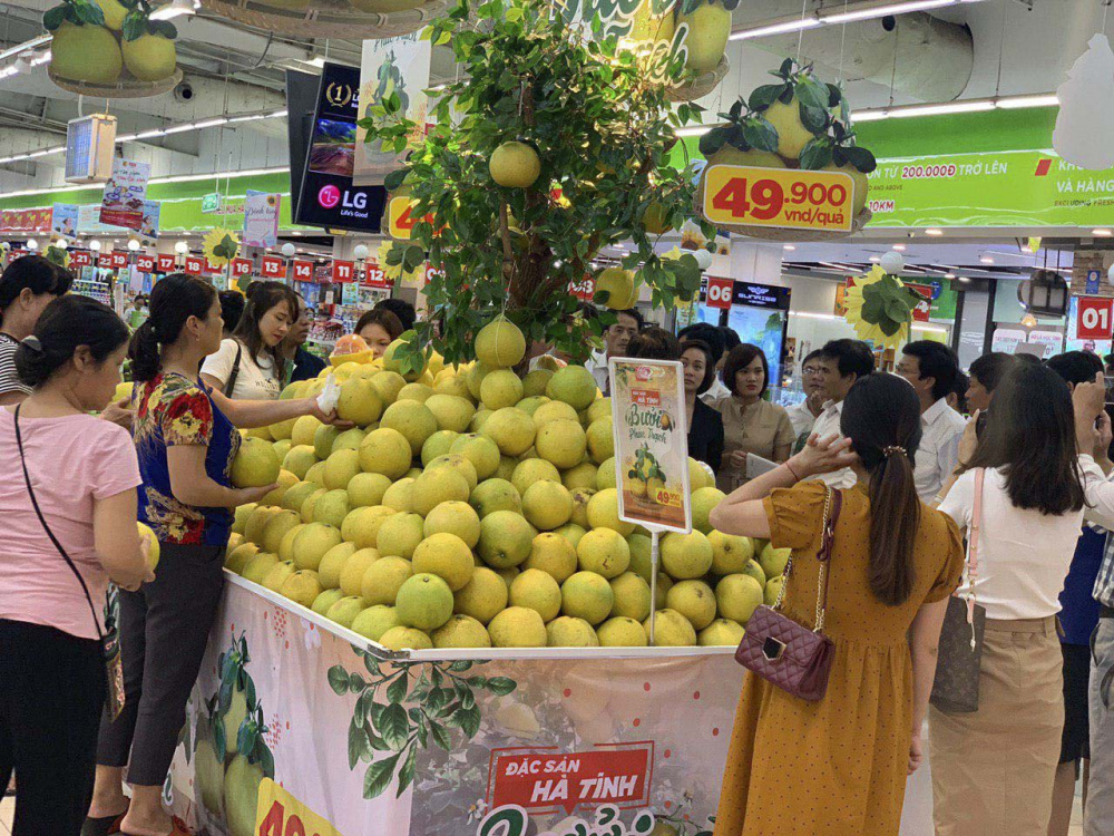 Bưởi Phúc Trạch và các loại đặc sản Hà Tĩnh đang được bán với giá ưu đãi tại 17 siêu thị Big C và GO! miền Bắc