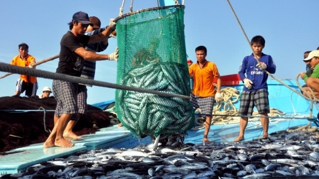 Khắc phục "thẻ vàng" IUU vẫn còn nhiều việc phải làm