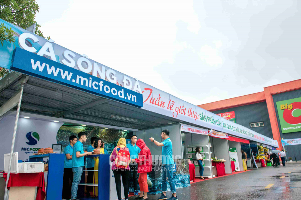 Tuần lễ giới thiệu Sản phẩm cây ăn quả có múi và nông thủy sản an toàn, chất lượng tỉnh Hòa Bình năm 2019