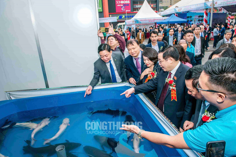 Tuần lễ giới thiệu Sản phẩm cây ăn quả có múi và nông thủy sản an toàn, chất lượng tỉnh Hòa Bình năm 2019