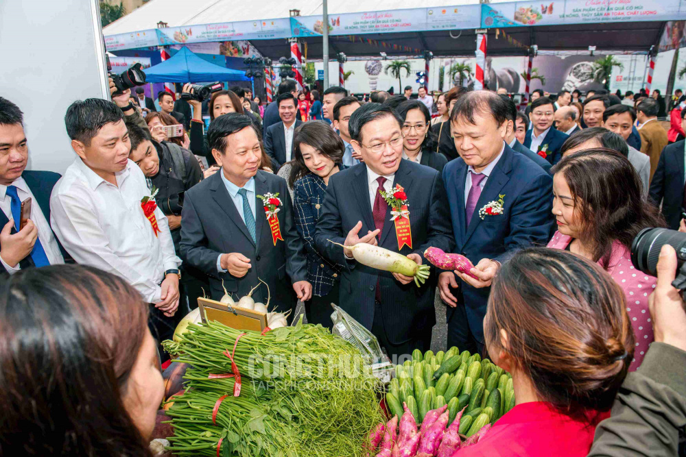 Tuần lễ giới thiệu Sản phẩm cây ăn quả có múi và nông thủy sản an toàn, chất lượng tỉnh Hòa Bình năm 2019