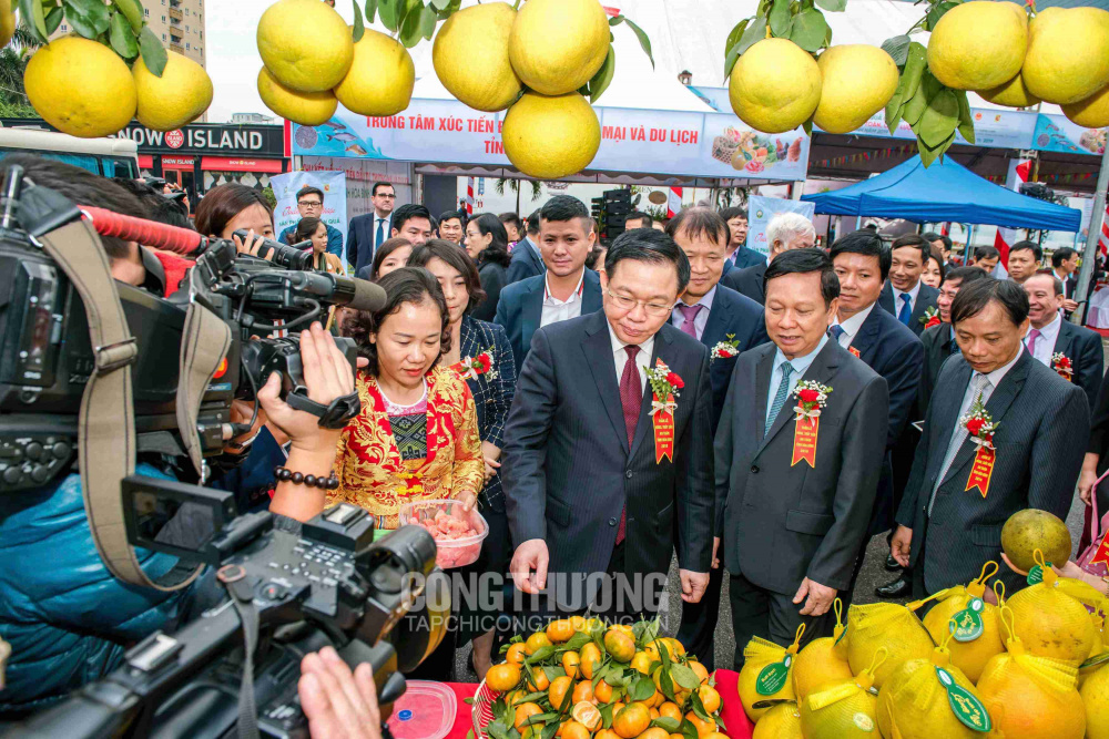 Tuần lễ giới thiệu Sản phẩm cây ăn quả có múi và nông thủy sản an toàn, chất lượng tỉnh Hòa Bình năm 2019