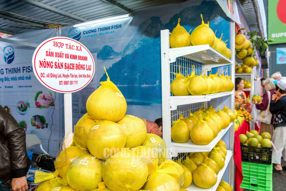 Tuần lễ giới thiệu Sản phẩm cây ăn quả có múi và nông thủy sản an toàn, chất lượng tỉnh Hòa Bình năm 2019