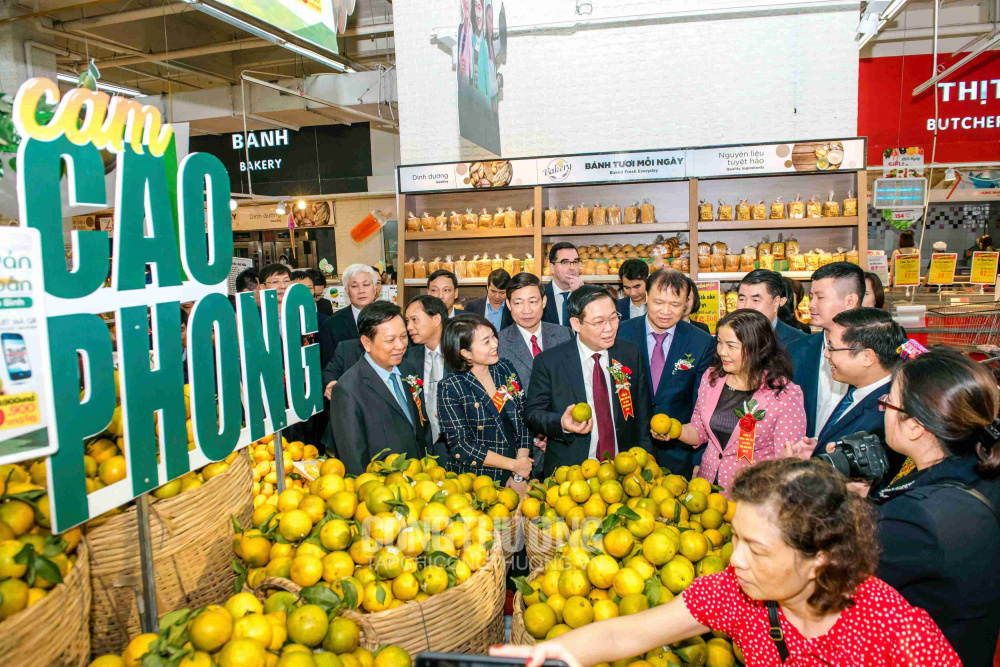Tuần lễ giới thiệu Sản phẩm cây ăn quả có múi và nông thủy sản an toàn, chất lượng tỉnh Hòa Bình năm 2019