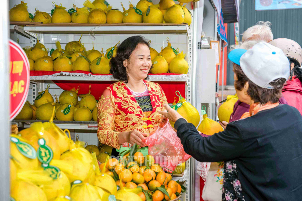 Tuần lễ giới thiệu Sản phẩm cây ăn quả có múi và nông thủy sản an toàn, chất lượng tỉnh Hòa Bình năm 2019