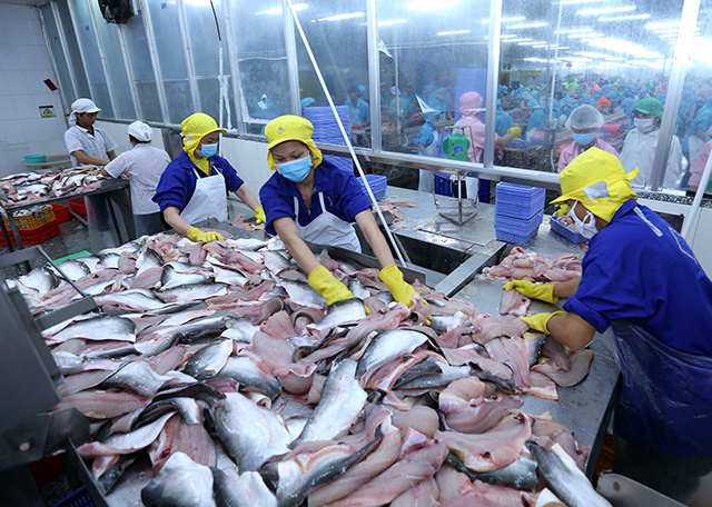 FSIS chính thức công nhận hệ thống kiểm tra sản phẩm cá 