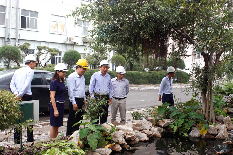 Thăm công trình hồ cá cải tạo môi trường tại Công ty CP DAP - Vinachem