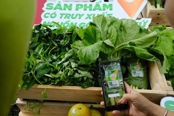 trải nghiệm Link vào Cwin Cá Cược Thể Thao 2026 an toàn