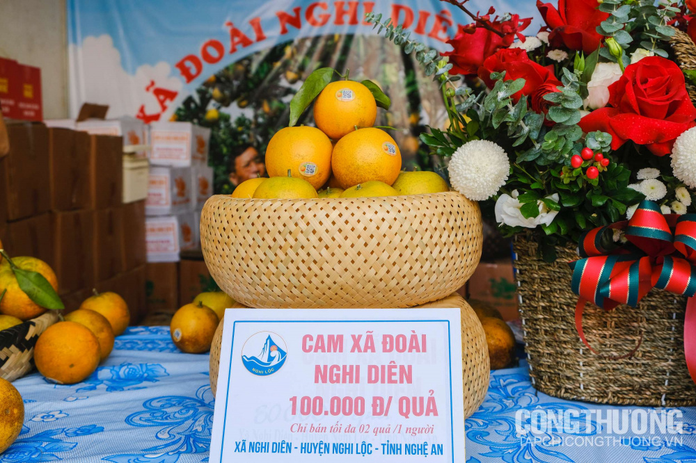Giới thiệu đặc sản cam Vinh tại Tuần lễ