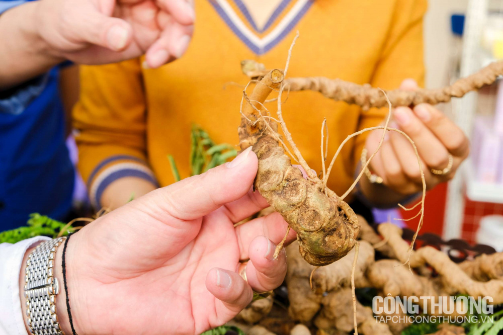 Bên cạnh cam, nhiều sản phẩm, đặc sản khác của Nghệ An cũng được quảng bá rộng rãi tại Tuần lễ