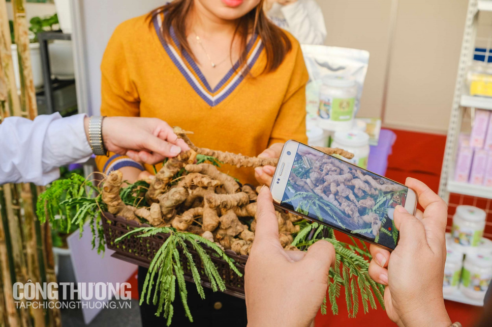 Bên cạnh cam, nhiều sản phẩm, đặc sản khác của Nghệ An cũng được quảng bá rộng rãi tại Tuần lễ