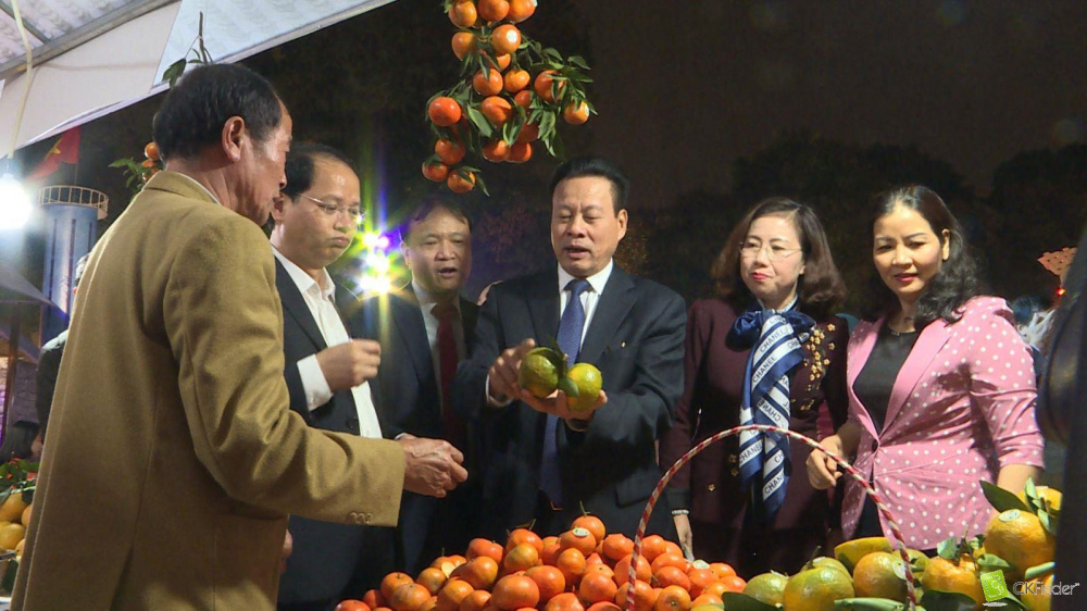 tuần lễ cam sành hà giang