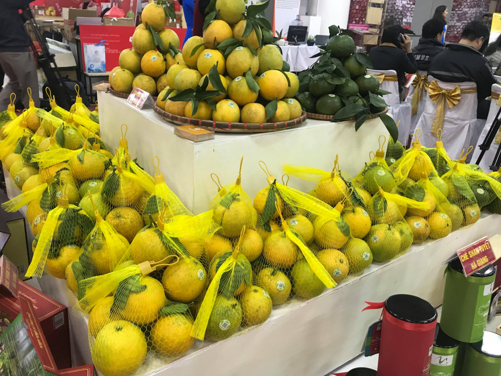 tuần lễ cam sành hà Giang