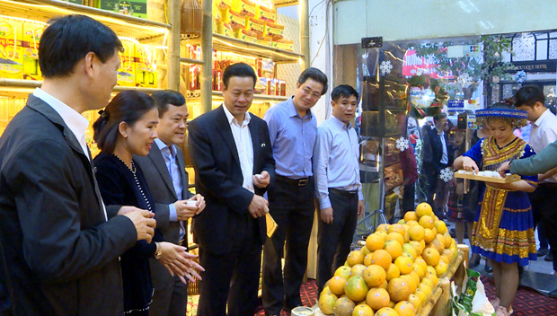 tuần lễ cam sành hà giang