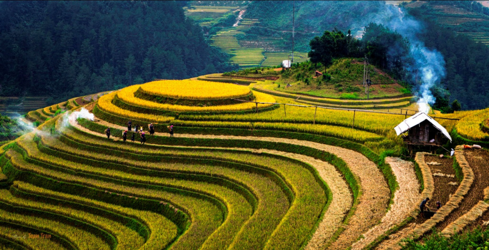 phân lân văn điển