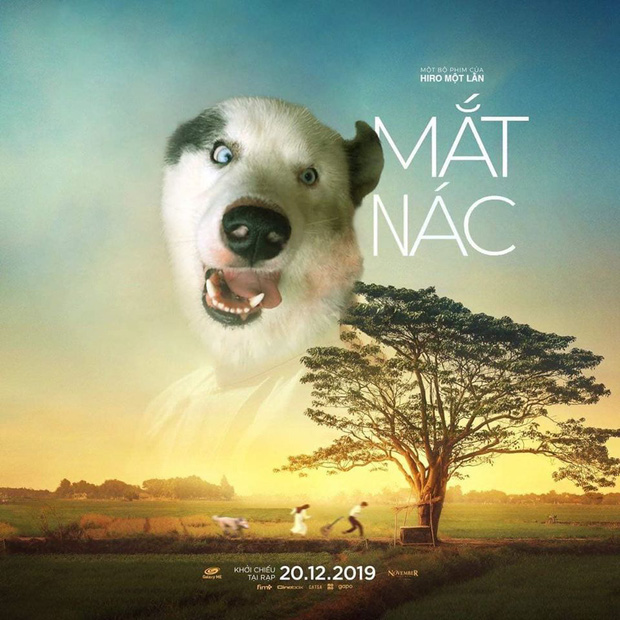 Mat nac