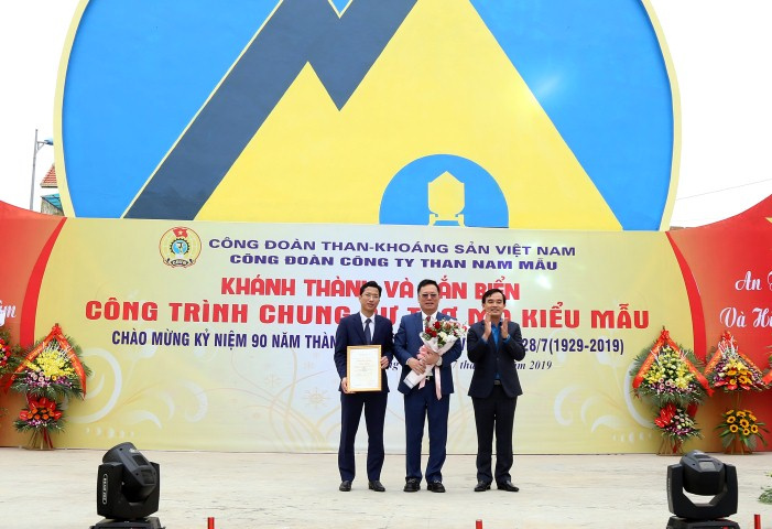 công ty than nam mẫu