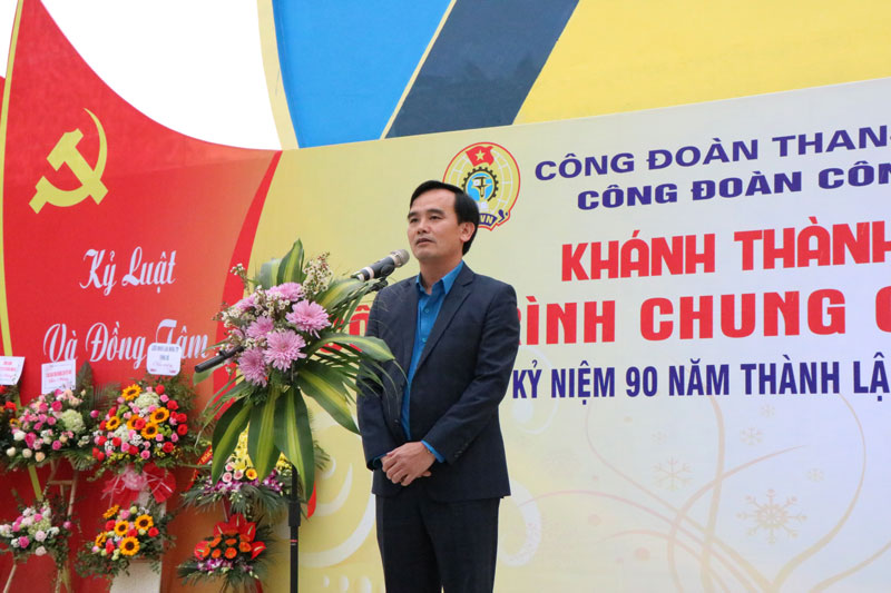 công ty than nam mẫu