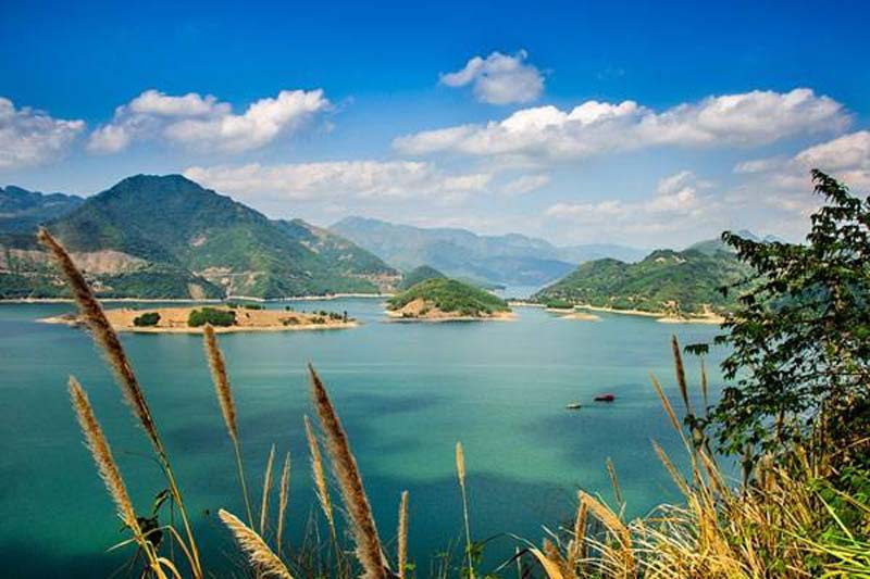 Thung nai