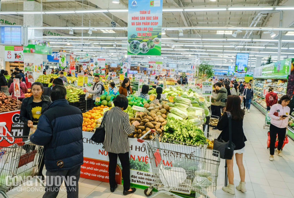 Sản lượng nông sản an toàn Lào Cai tiêu thụ tại hệ thống Big C và GO! đang tăng nhanh