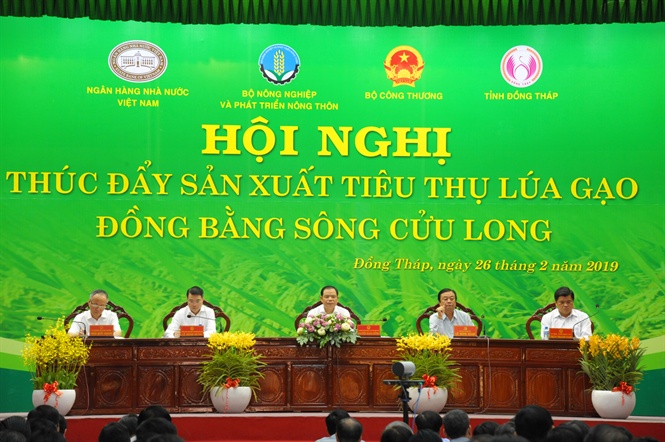 tieu thu gao