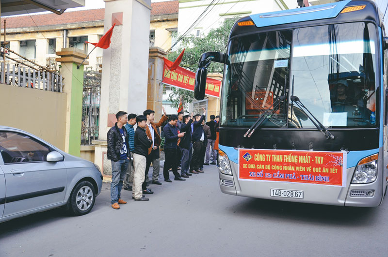 công ty than thống nhất