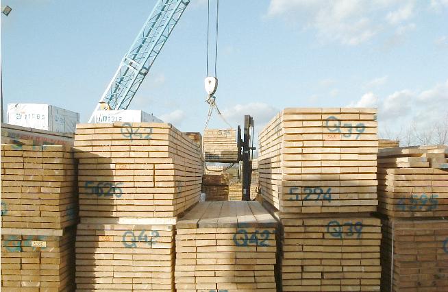 Nền tảng hàng đầu cung cấp Cwin com gỗ