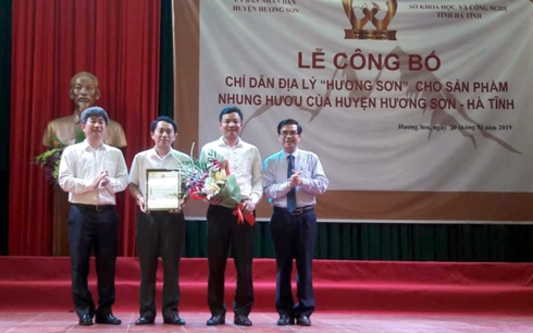 nhung hươu hương sơn
