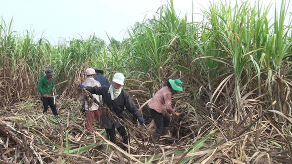 đề xuất áp thuế tiêu thụ đặc biệt vấp nhiều tranh cãi