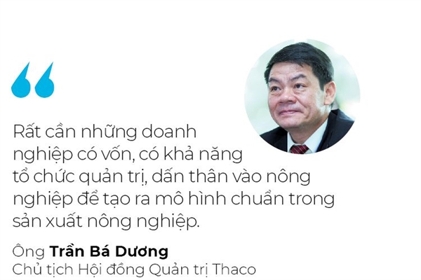 tran ba duong