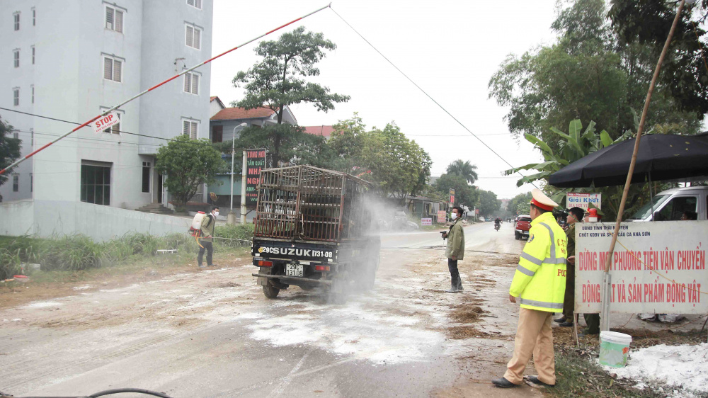 Phun thuốc tại chốt kiểm dịch động vật Thái Nguyên kiểm soát dịch tả lợn châu Phi