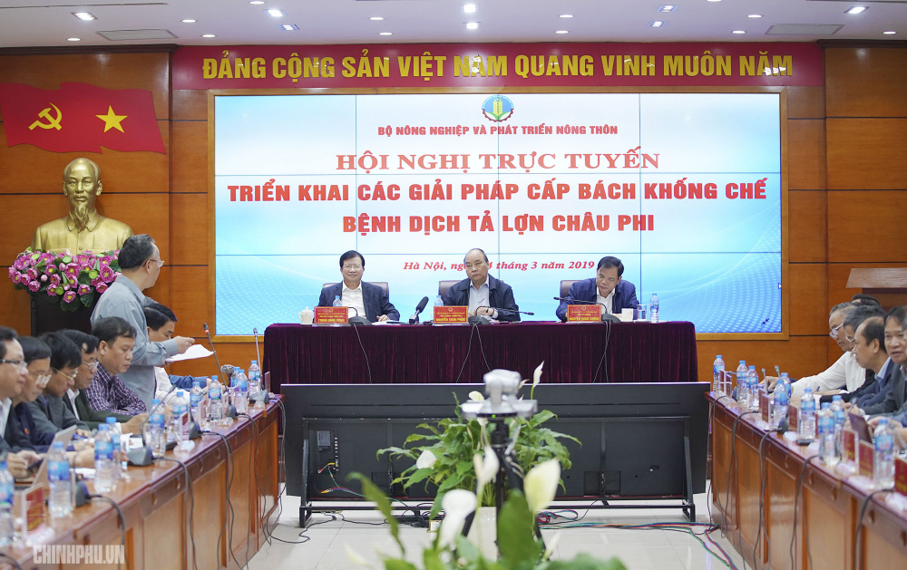 Hội nghị Hội nghị trực tuyến triển khai các giải pháp cấp bách khống chế dịch tả lợn châu Phi